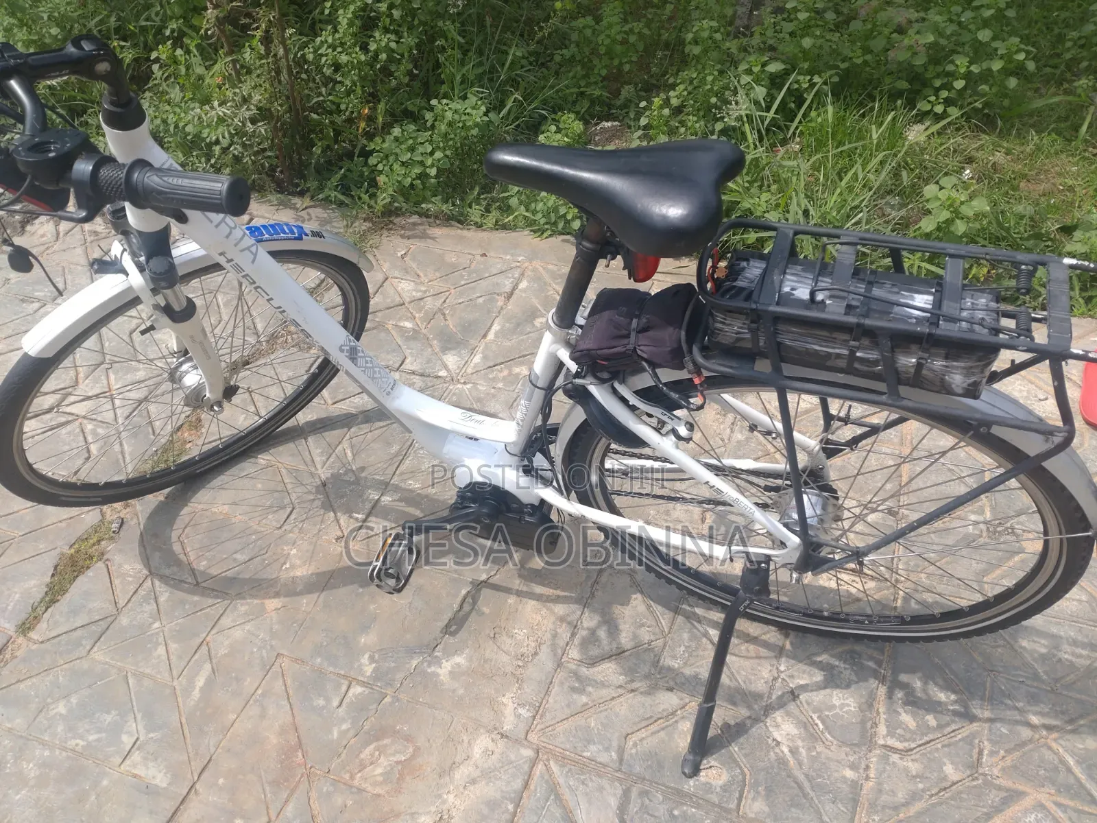 Ebicycle Hercule Roberta