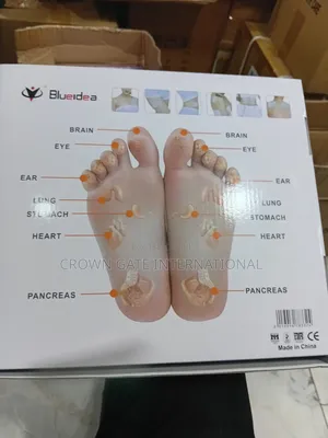 Electronic Pulse Massager