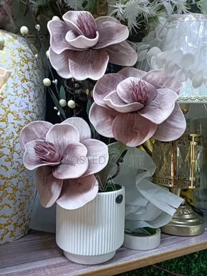 Lili Flower