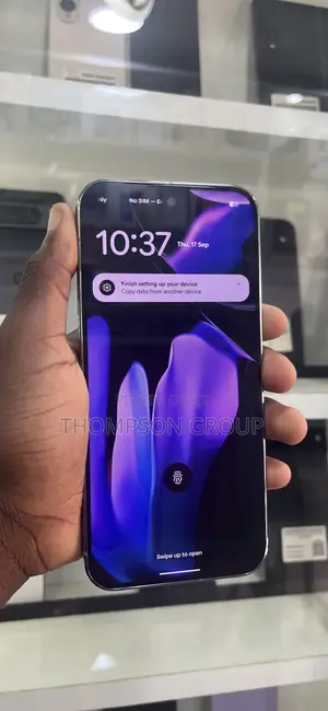 Google Pixel 9 Pro XL 256 GB Gray