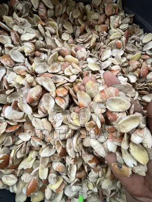 Farm-Sourced Ogbono Seeds