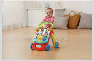 Vtech Stroll Discover Activity Walker