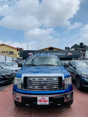 Ford Flex 2011 Blue