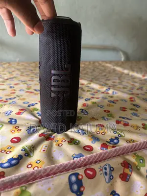 JBL Flip 7