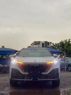 New Dongfeng Rich 2025 Silver