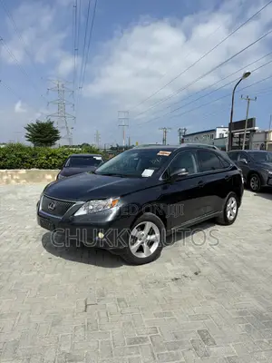 Lexus RX 350 2010 Gray