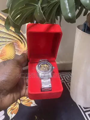 Skeleton Automatic Wrist Watch – Stainless Stee