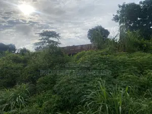 1 Coner Plot for Sale at Unity Estate Umuahia