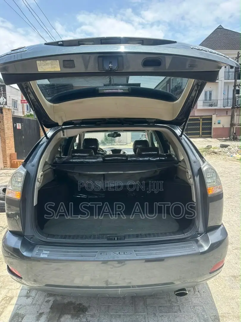 Lexus RX 330 2005 Gray