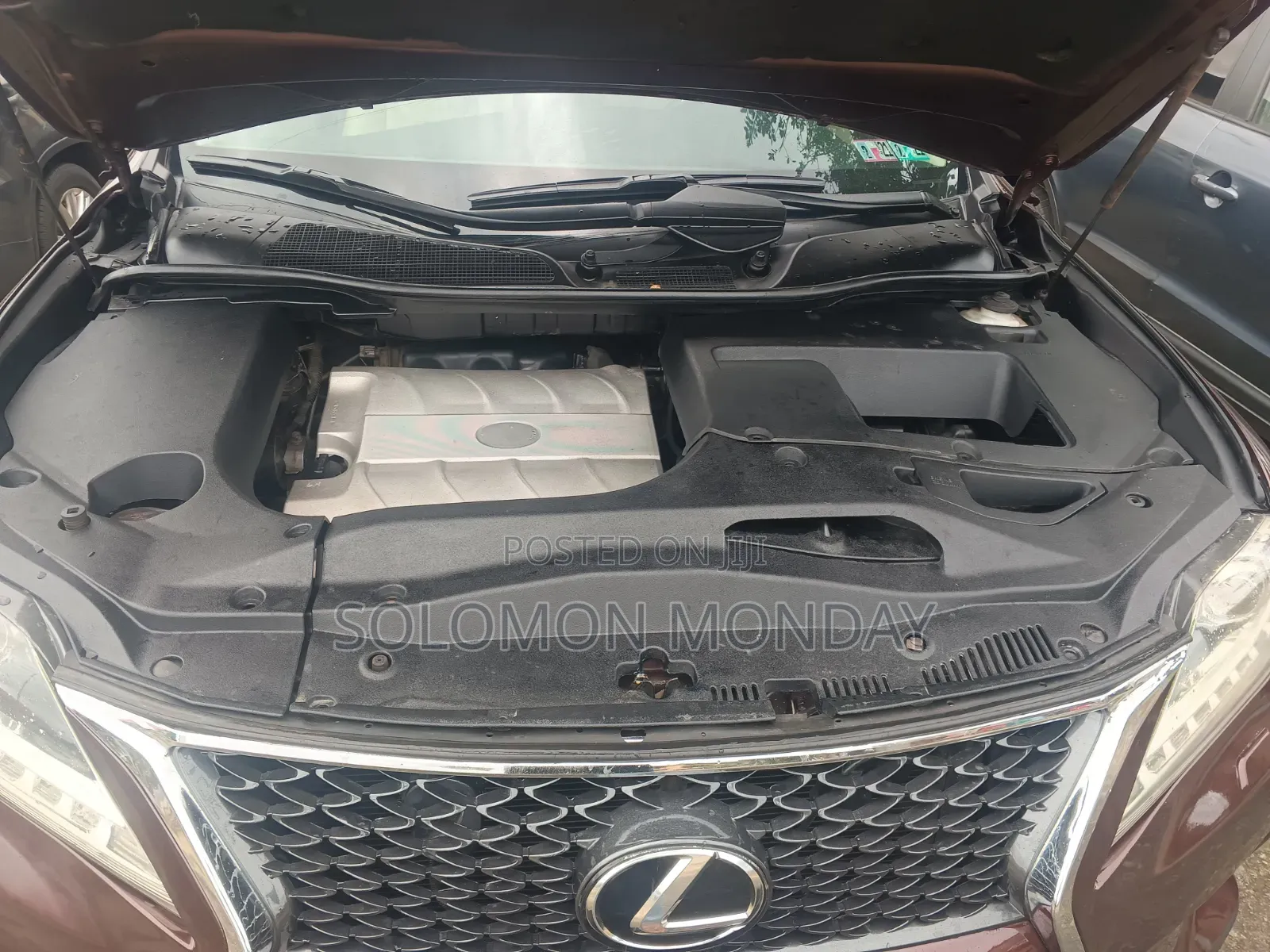 Lexus RX 2010 Red