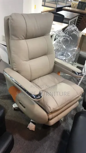 Executive Director Chair