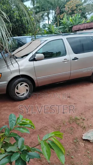 Sienna Available for Rental