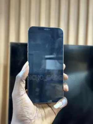 Apple iPhone 12 Pro Max 128 GB Black