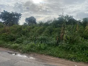2 Plots of Land for Sale at Umuobia Estate Umuahia