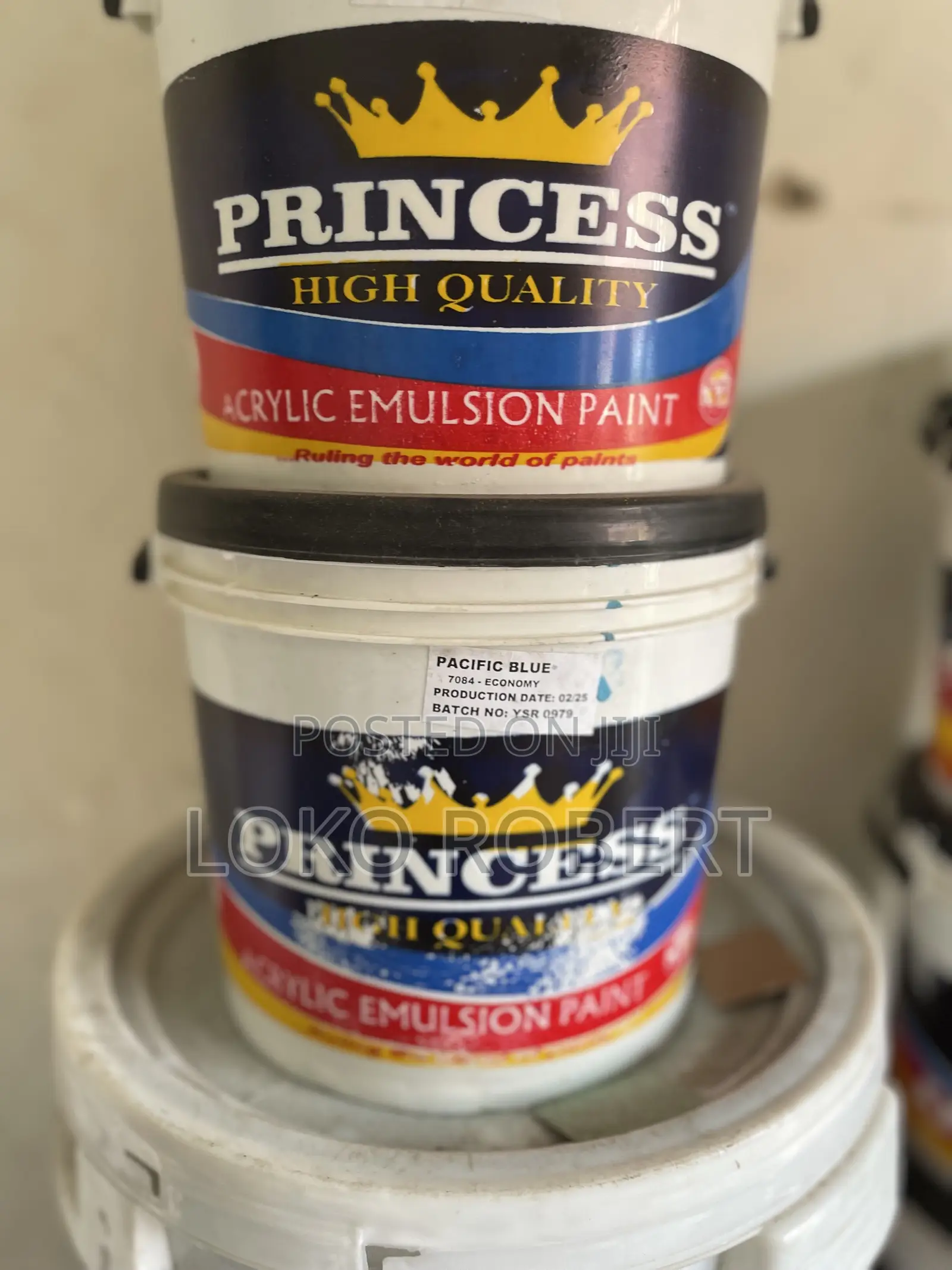 Princess Paint Quality Princess Paints Available Multiple Color