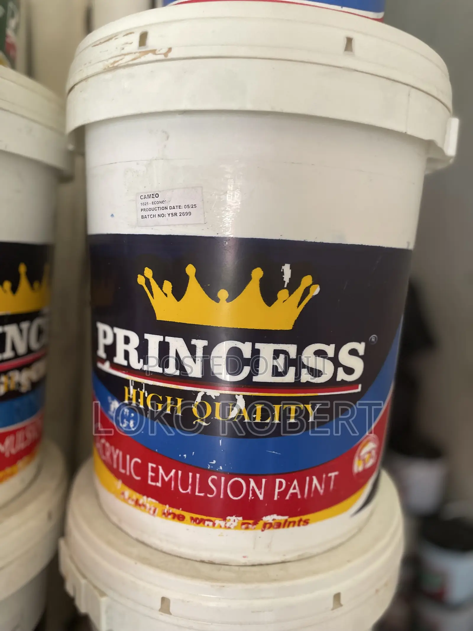 Princess Paint Quality Princess Paints Available Multiple Color