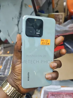 Xiaomi 13 512 GB Gray