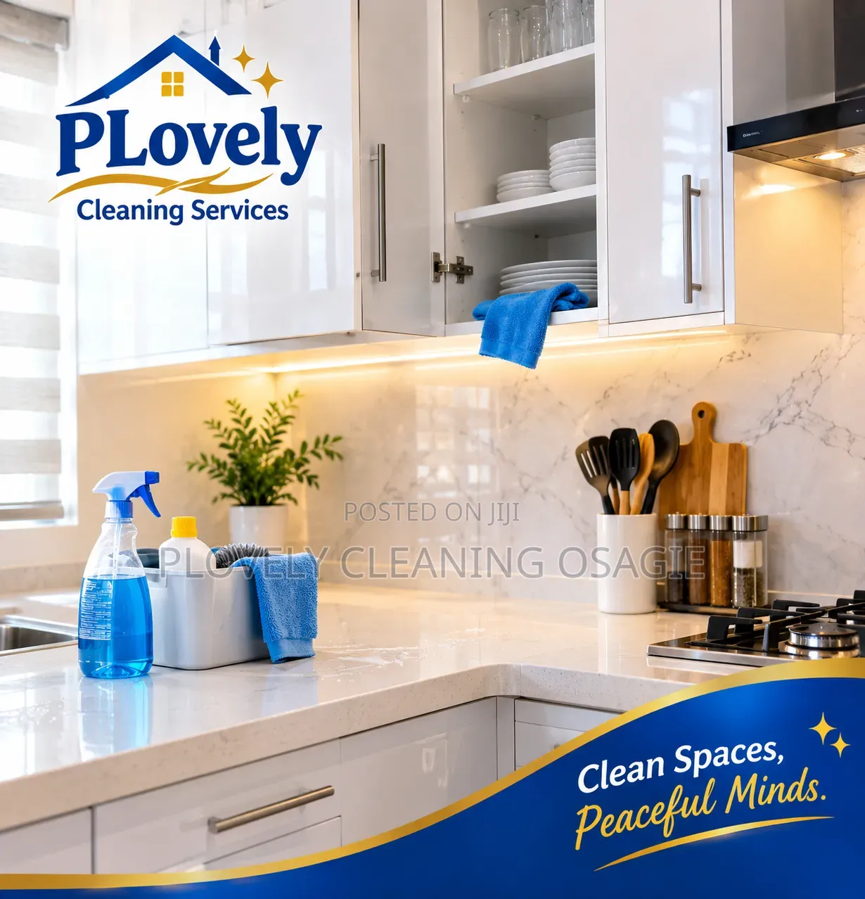 PLovely Cleaning services.professional Cleaning Services