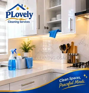 PLovely Cleaning services.professional Cleaning Services