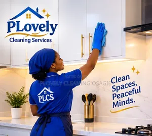 PLovely Cleaning services.professional Cleaning Services