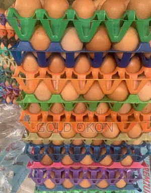 Your Fresh Egg Plug • Best Quality