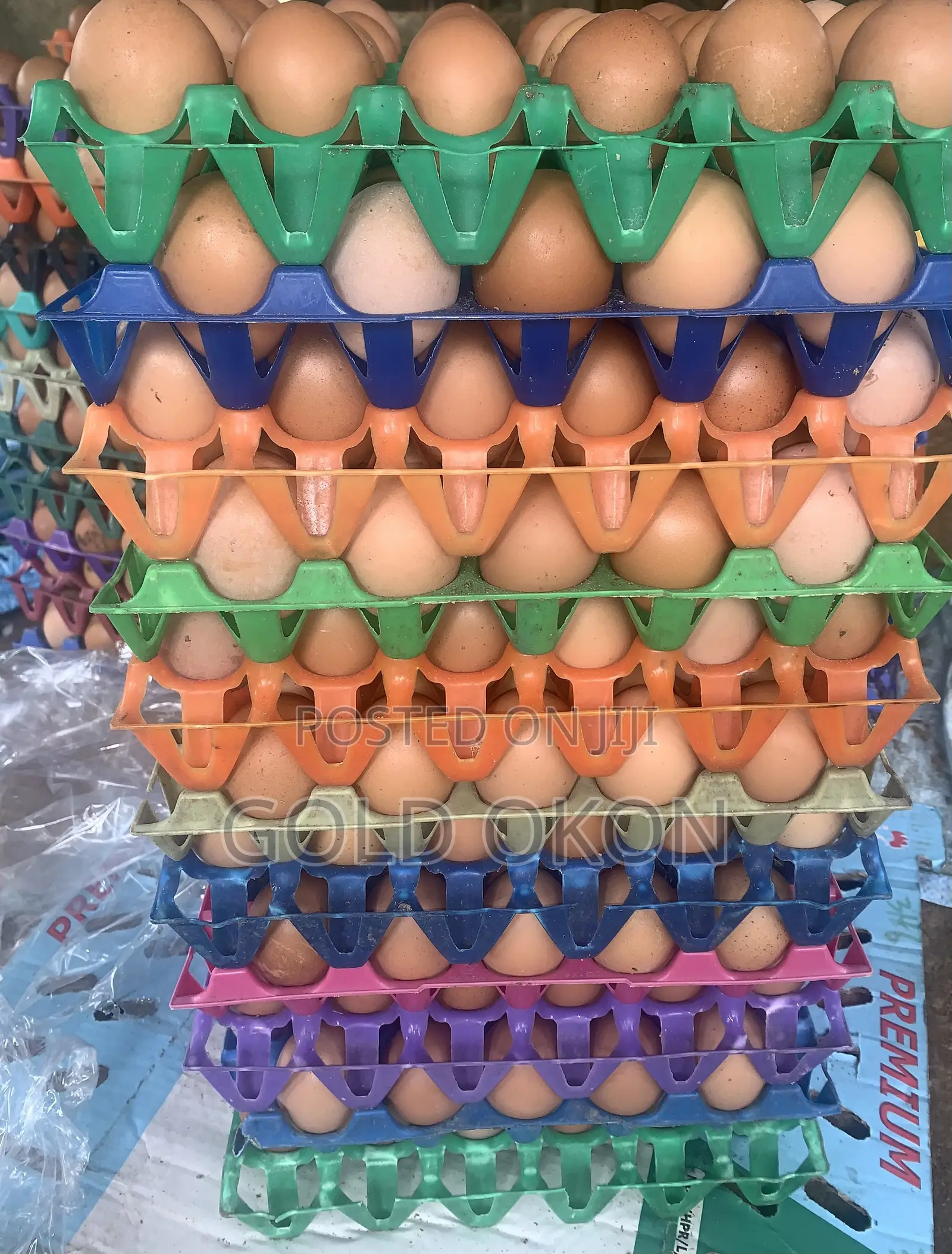 Your Fresh Egg Plug • Best Quality