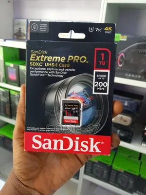 Sandisk Ex/Pro Cam 1tb
