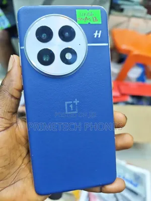 OnePlus 13 256 GB Blue