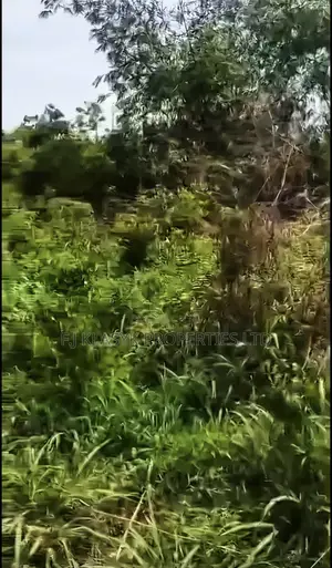 2 Plots of Land for Sale at Ikhuen Bypass Opposite Goshen City Estate
