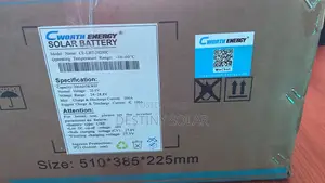 5kwh 25.6v CWORTH Lithium Ion Battery 24volts 5 Years Warranty