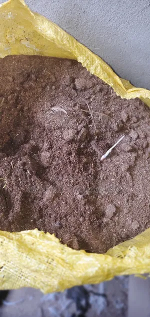 Chicken Manure