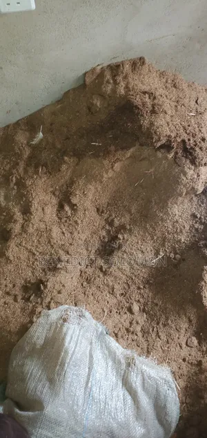 Chicken Manure