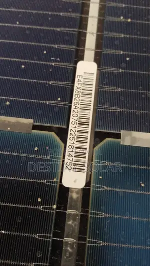 650watts Jinko Solar Panels 144cells Original Direct High Voltage