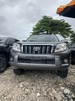 Toyota Land Cruiser Prado 4.0 i 2010 Gray
