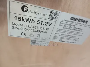 Flat Felicity Lithium Batteries 15kwh 300ah