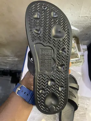 Rubber Palm