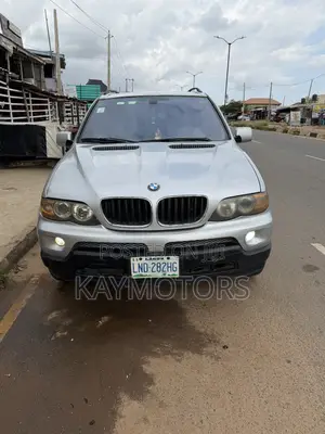 BMW X5 4.4i 2005 Silver