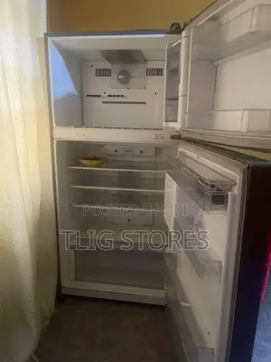 LG Big Frigde