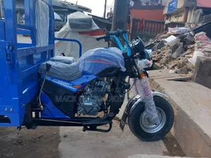 New Tricycle 2026 Blue