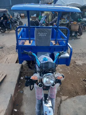 New Tricycle 2026 Blue