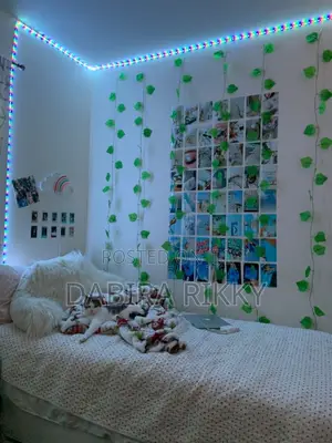 Wall Posters/Collage
