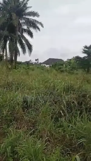 100×100 Plot of Land at Ayen, Egba Benin Auchi Road