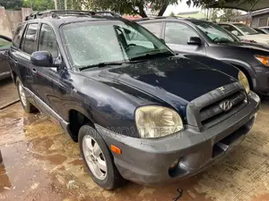 Hyundai Santa Fe 2006 Blue