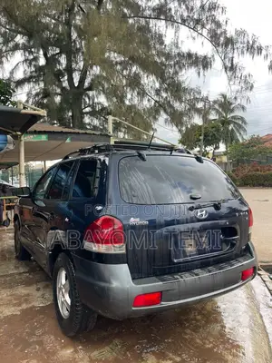 Hyundai Santa Fe 2006 Blue