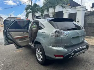 Lexus RX 2008 Gray