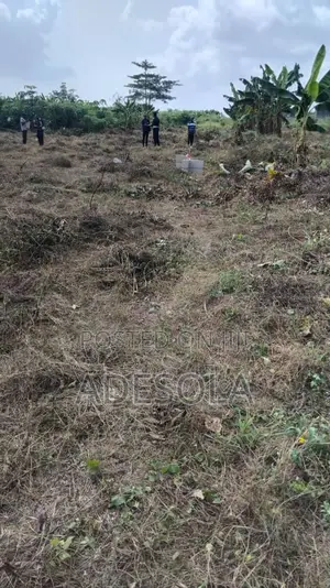 Land for Sale