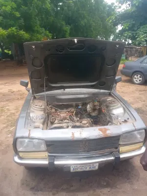 Peugeot 504 1990 Gray