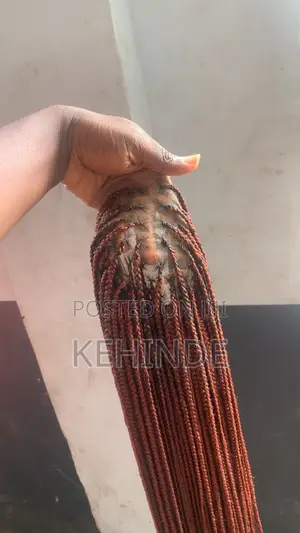 Braided Wig