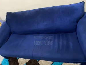 Chair Cushion Sofa