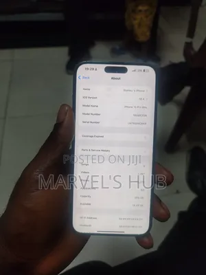 Apple iPhone 15 Pro Max 256 GB Silver